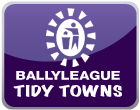 Ballyleague Tidy Towns Page